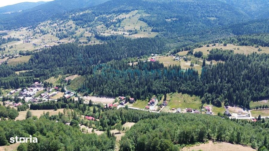 Teren de 16517 mp, în Arieșeni