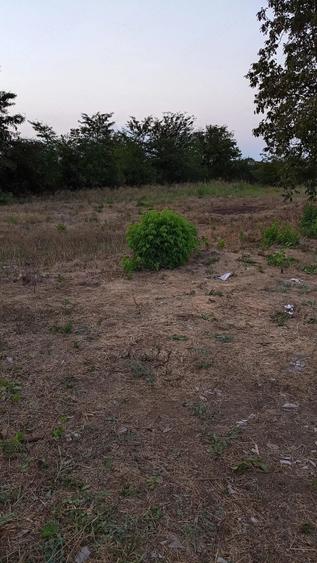 Teren de 4150 mp, în Central