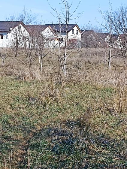 Teren agricol intravilan de 606 mp, în Pantelimon