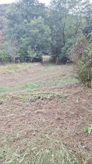 Vand gradina intravilan pe Valea Barzavii - 3