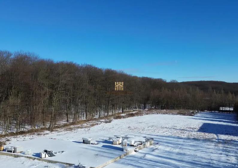 Teren Intravilan langa Padure 10.000 mp 1 hectar Suceava - 7