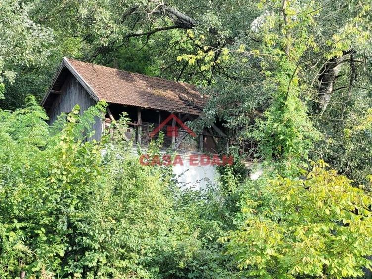 Teren intravilan in Telega--17.131 mp--180.000e - 2