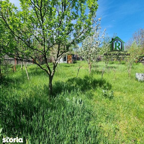Casa de vacanta Vernesti- Niscov - la padure ! - 16