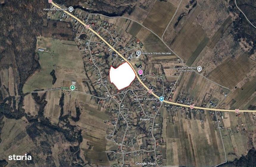 Oportunitate de investitie! Schitu Duca-Poieni, 42.898mp teren compact - 4
