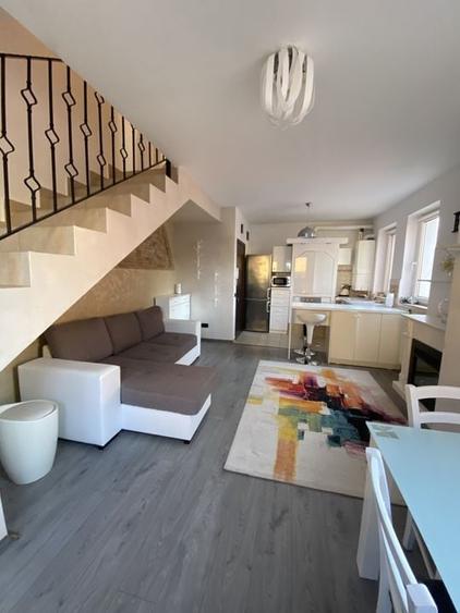 Cochet la intrare in Dumbravita - 19