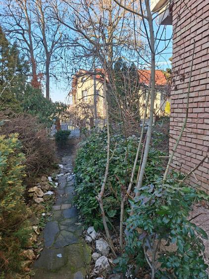 Langa Parc Padurice, pentru locuit sau afacere - 33