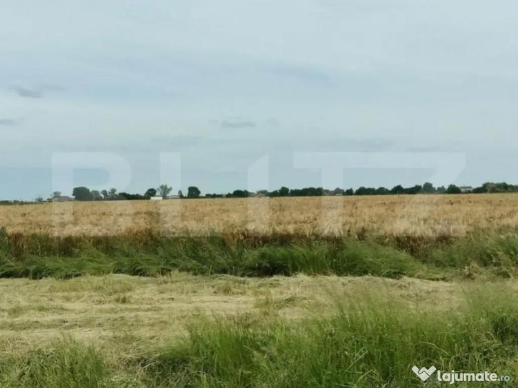 Teren intravilan, arabil, 39 ha, Sanmartinul Sarbesc - 1