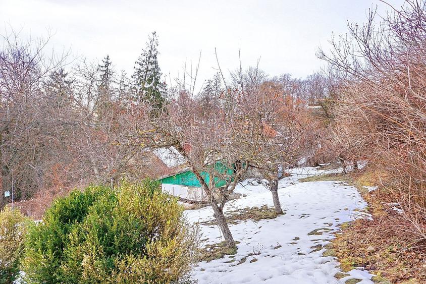 Teren Intravilan - Zona Drumul Poienii - 3