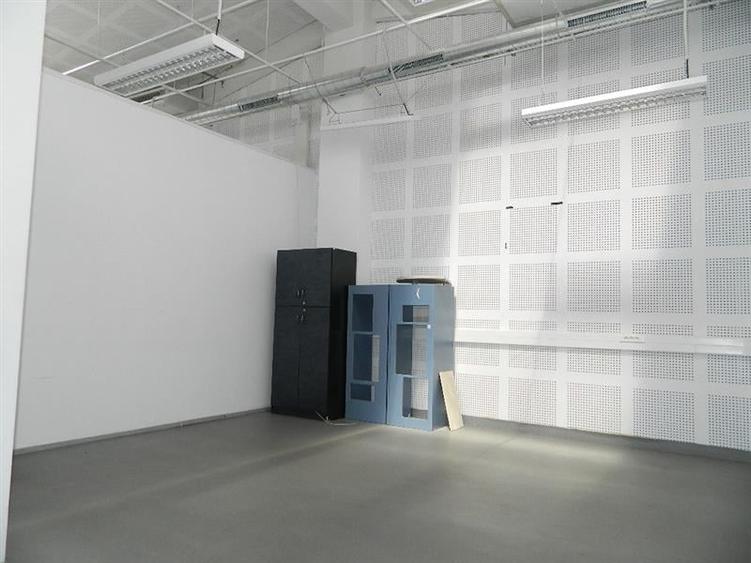 Spatiu de birouri, central, pe bulevardul Take Ionescu - 3