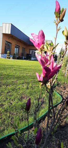 Casa pe parter cu curte 1000 mp - 8