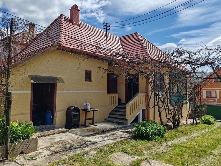 Casa familiala + spatiu comercial - 7