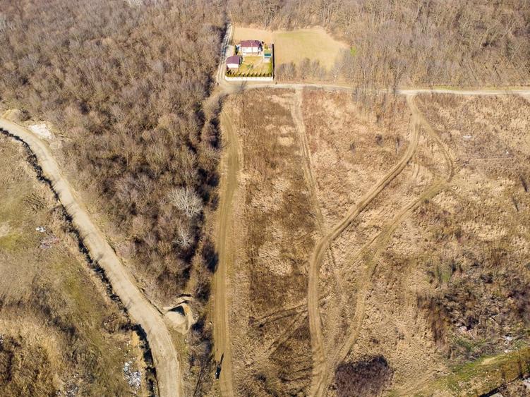 Magurele langa padurea Cornetu si Arges, teren intravilan - 9