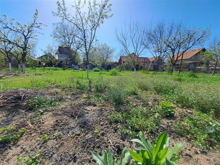 RECO Casa Marghita - 4