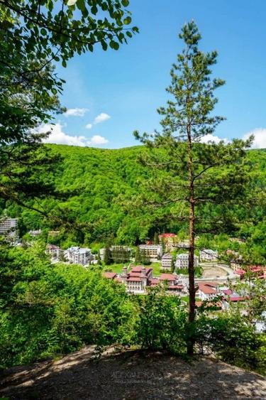 Teren Slanic Moldova-Bacau-893 mp - 1