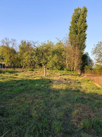 Vand proprietate in Sibot - 3