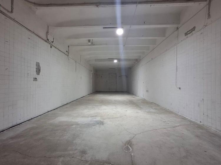 Spatii depozitare /productie Linia de Centura Leordeni-Glina - 19