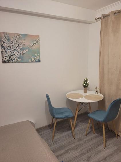 Garsoniera de inchiriat - 4