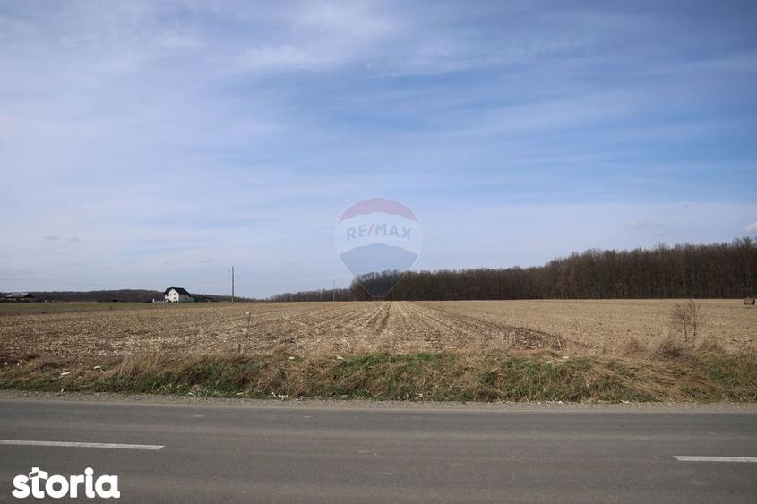 Teren 9,740mp Suceava / Strada Principala - 9