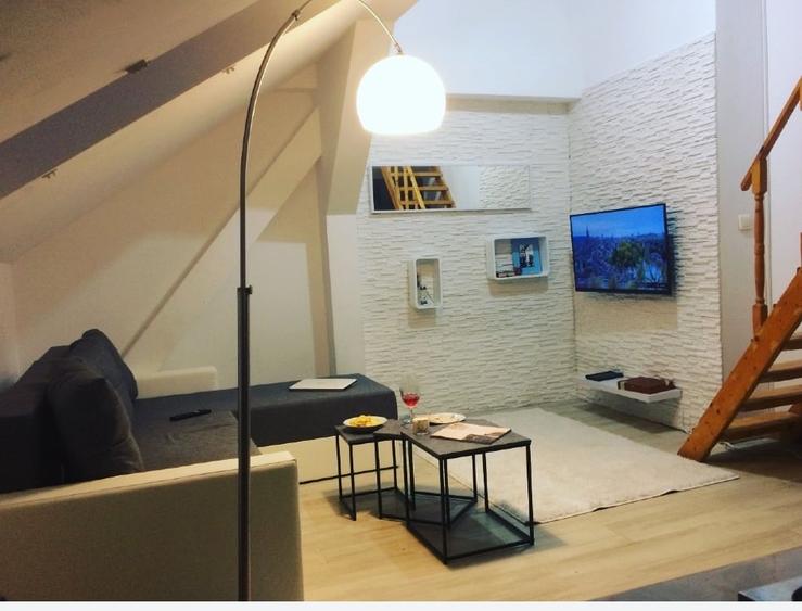 Garsonieră mansardată – 24 mp – Splaiul Nicolae Titulescu - 1