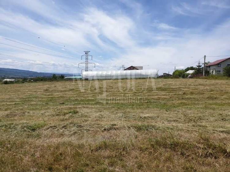 Teren extravilan industrial de inchiriat in Iris, Cluj Napoca - 3