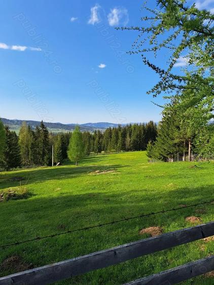 Vind teren 30000m2 Sarul Dornei - 1