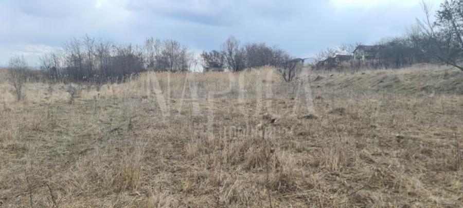 Teren intravilan pentru constructii de vanzare in Buna Ziua, Cluj Napoca - 4