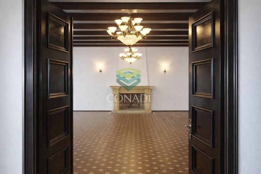 Zona Dorobanti- Aviatorilor, vila speciala de inchiriat,  710 mp utili - 3