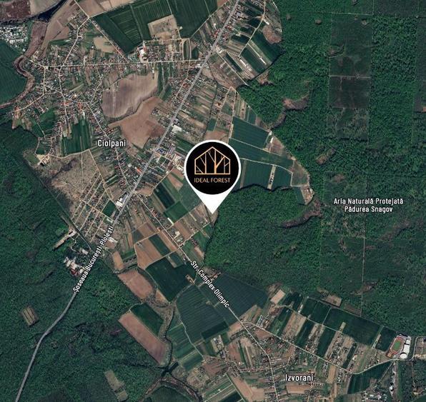 Ideal Forest - VINDEM LOT 1 - 511 m2 DESCHIDERE LA PADUREA SNAGOV - 7