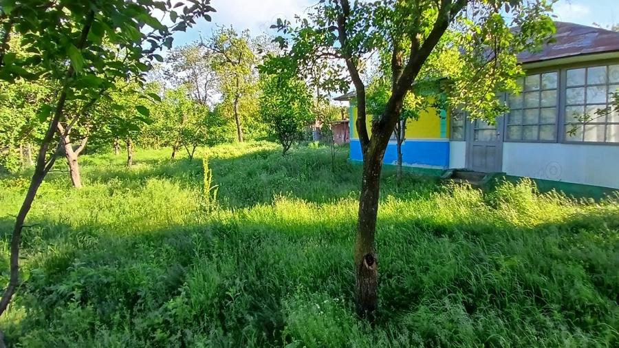 Casa 4 dormitoare Jud. Botosani, Com. Corlateni, Sat Vladeni - 10