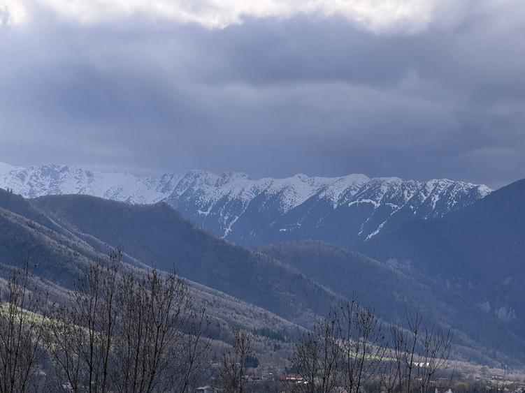 Vand teren in Bran - Sohodol 1000 mp - 3