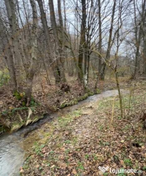 Teren de 6500 mp, în Morărești