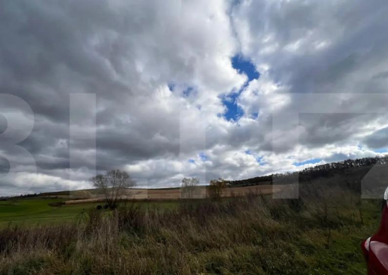 Teren de vanzare perfect pentru investitie in Babutiu - 4