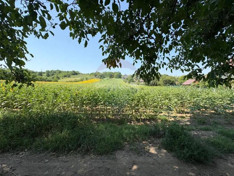 Teren 9,012mp Saucesti / Strada Cire?ului