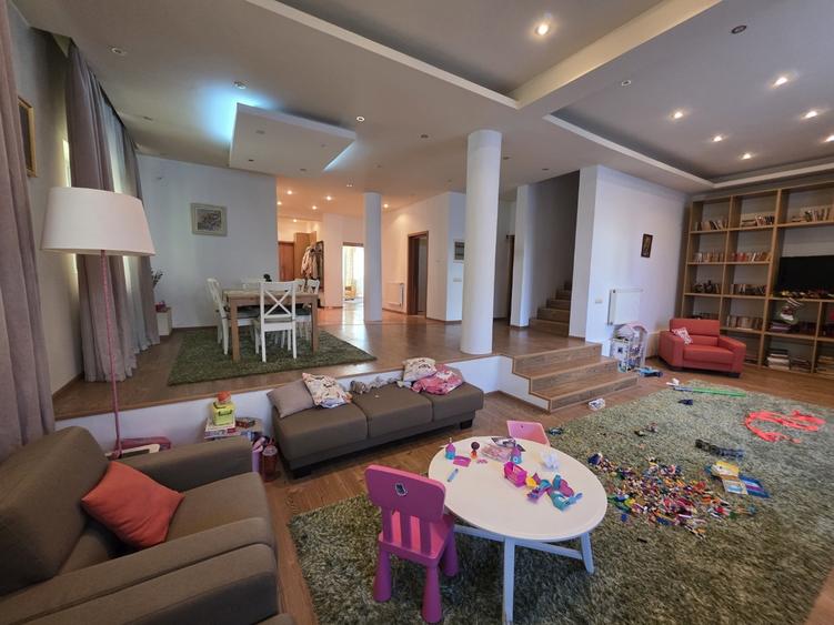 Dristor, Camil Ressu, 15 minute metrou, pe strada Ilioara - 2