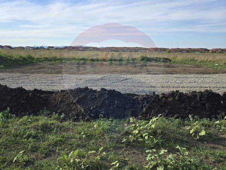 Teren Sanpetru, str Armoniei, 539mp, cu proiect casa si avize in lucru - 10