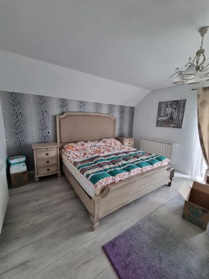 Casa de vanzare spre Vetis, drum principal - 16