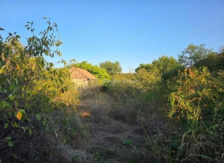 Teren intravilan 3240 mp, deschidere 15 m, Sapoca - 1