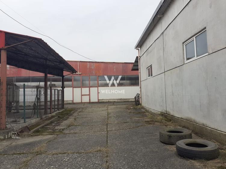 Hala de productie/depozitare si teren 15000 mp - Marsa -Sibiu - 7