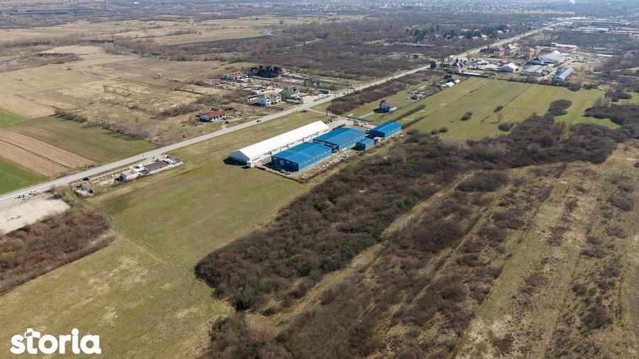 Teren extravilan de 7.000 mp langa Paltini? - 7