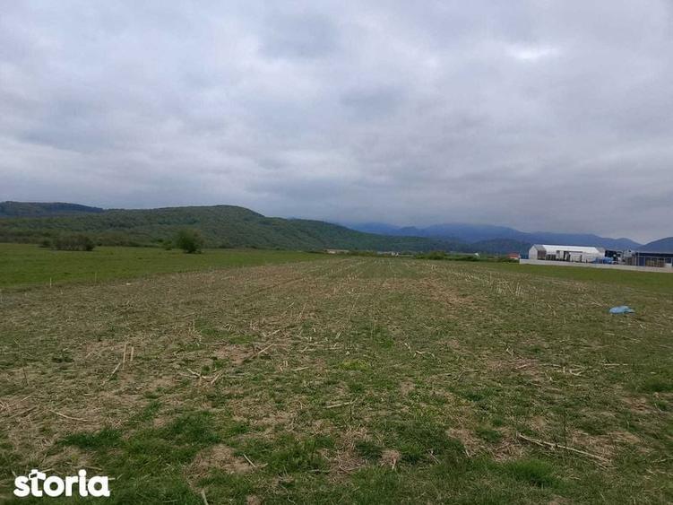 Teren Talmaciu 7,000 mp acces drum national - 5