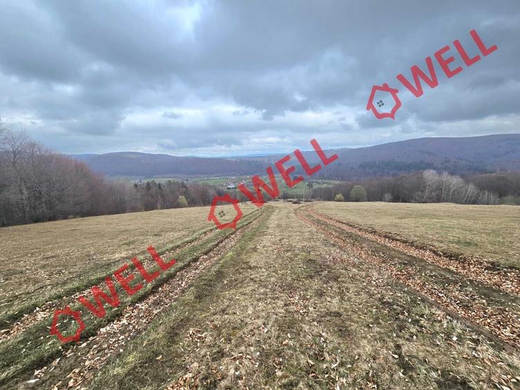 De vânzare 2 terenuri extravilane în localitatea Vama Buzăului, în zona denumită - 6