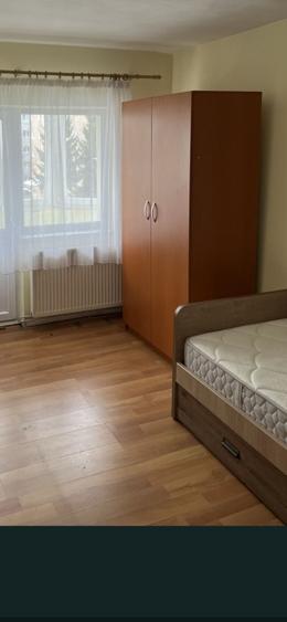 Farsoniera - Tractorul- langa Coresi Mall- Pet Friendly  - 6