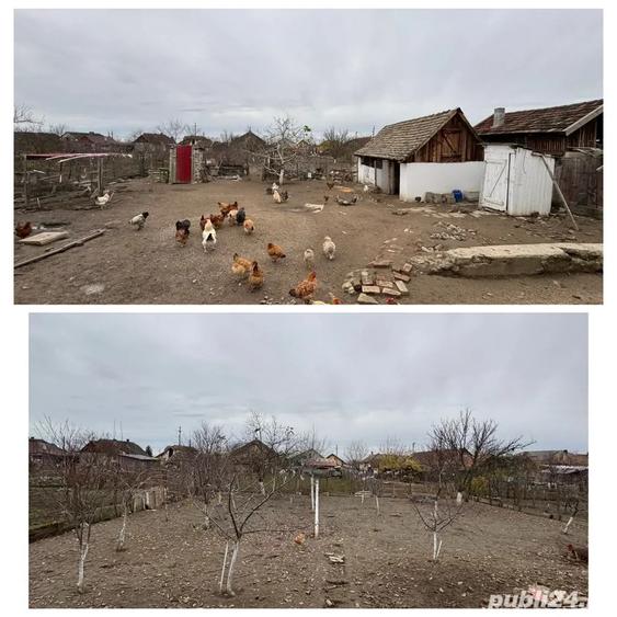 Vand casa in chisineu cris jud arad (Padureni) - 1