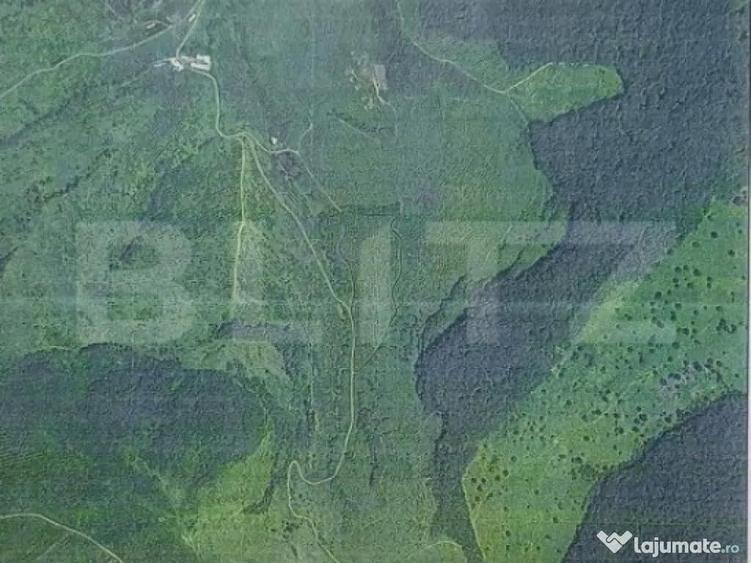 Teren extravilan 49300mp, zona Ghinda - 1