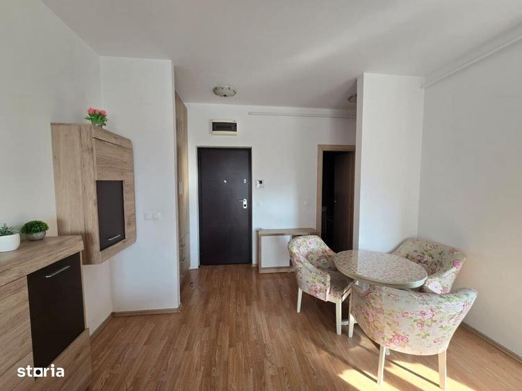 COPOU - APARTAMENT 2 CAMERE SI LOC DE PARCARE - 10