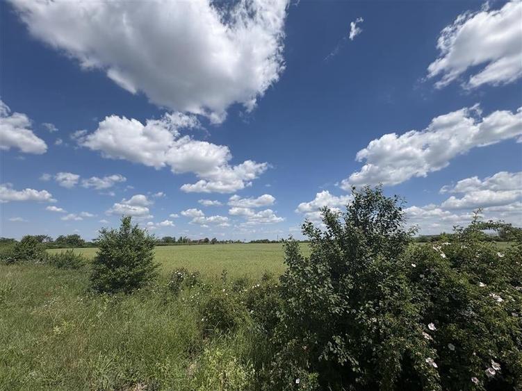 RECO Teren intravilan, zona Cartier Balcescu - 4