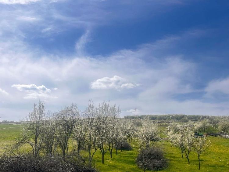 Teren Bunesti Intravilan vanzare - 5