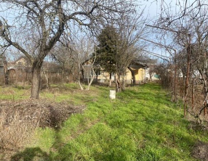 Teren + casa Chitila , Jud Ilfov str Recoltei - 4