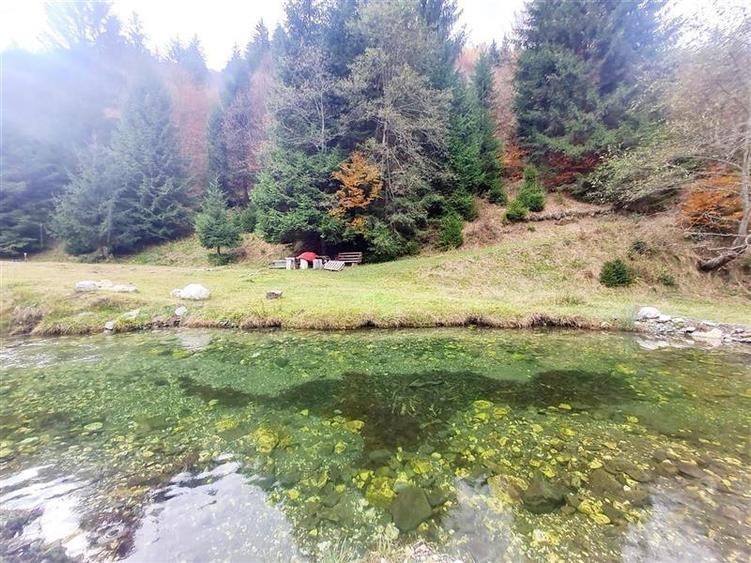 Parcela urbanizabila spectaculoasa,4.600 mp, priveliste emblematica:Piatra Craiu - 11