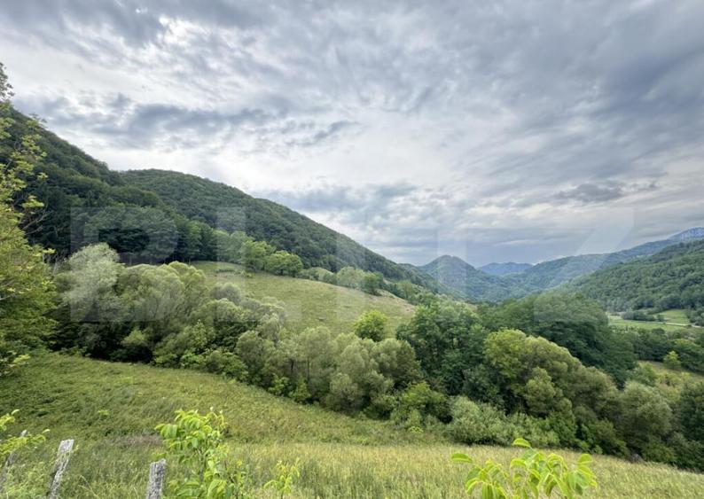 Teren extravilan 23.376 mp, in apropiere de Brad - 4